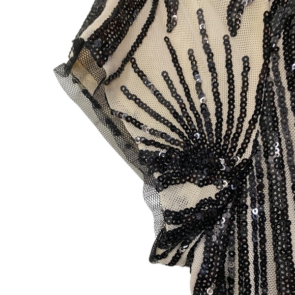 R&M Richards Short Sleeve Sweetheart Neck Embellished Sequin Panel Godet Dress - Picture 12 of 15